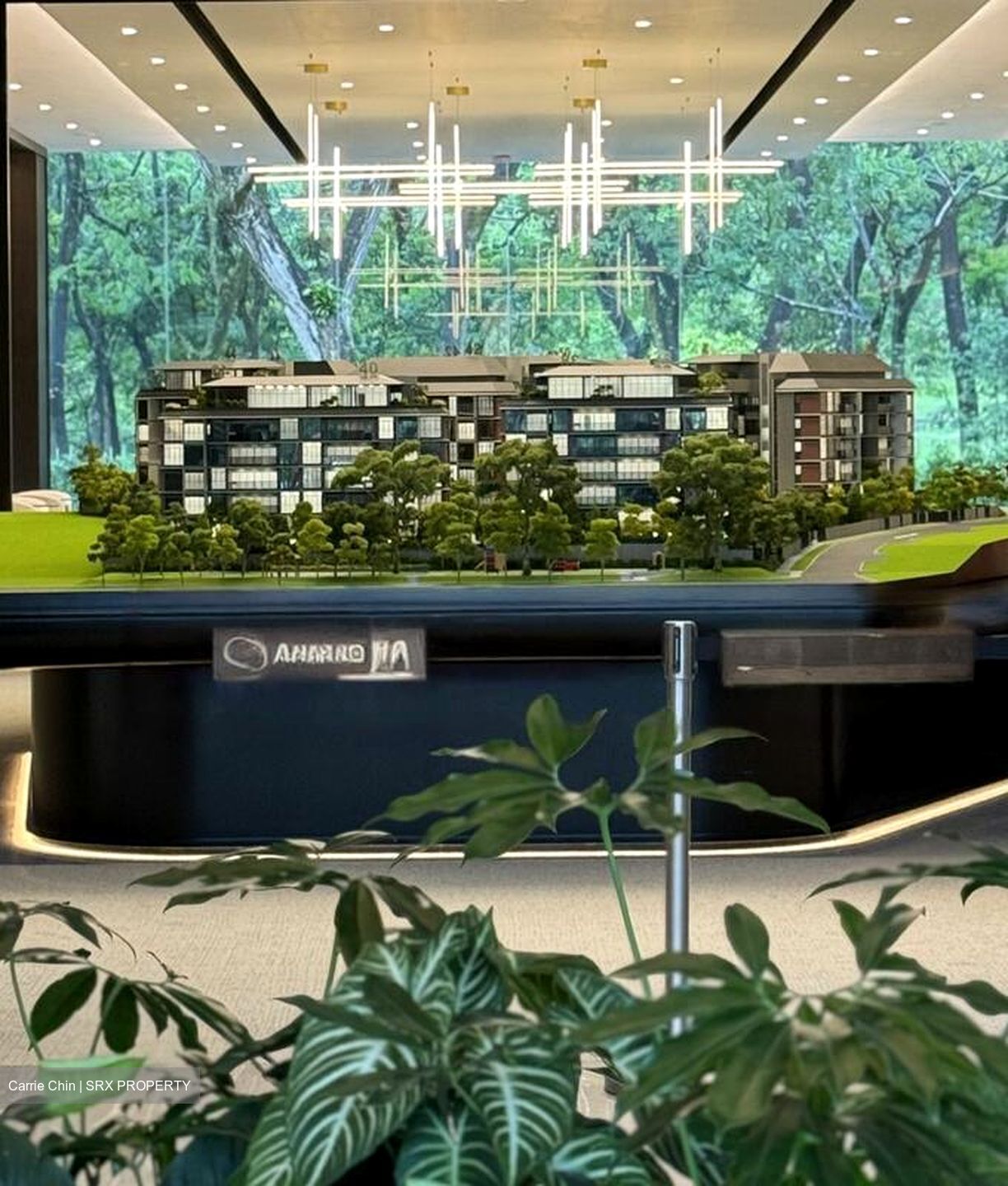 Watten House (D11), Condominium #488517541